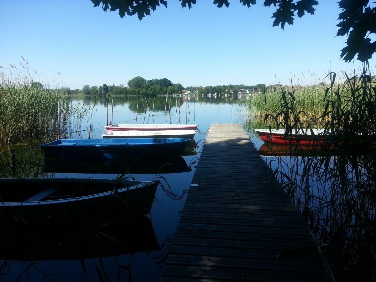 Holzhaus Trollbluemchen Am Wald Und See นอยรุพพิน ภายนอก รูปภาพ